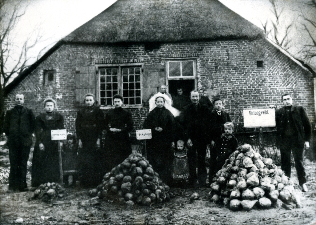 Boeren beproeven kunstmest. In de deuropening de grootvader van de spreker.