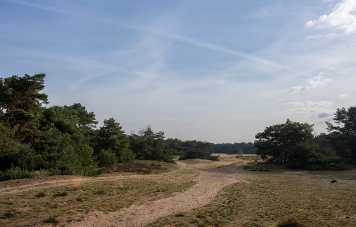 natuurgebied Boshoverheide