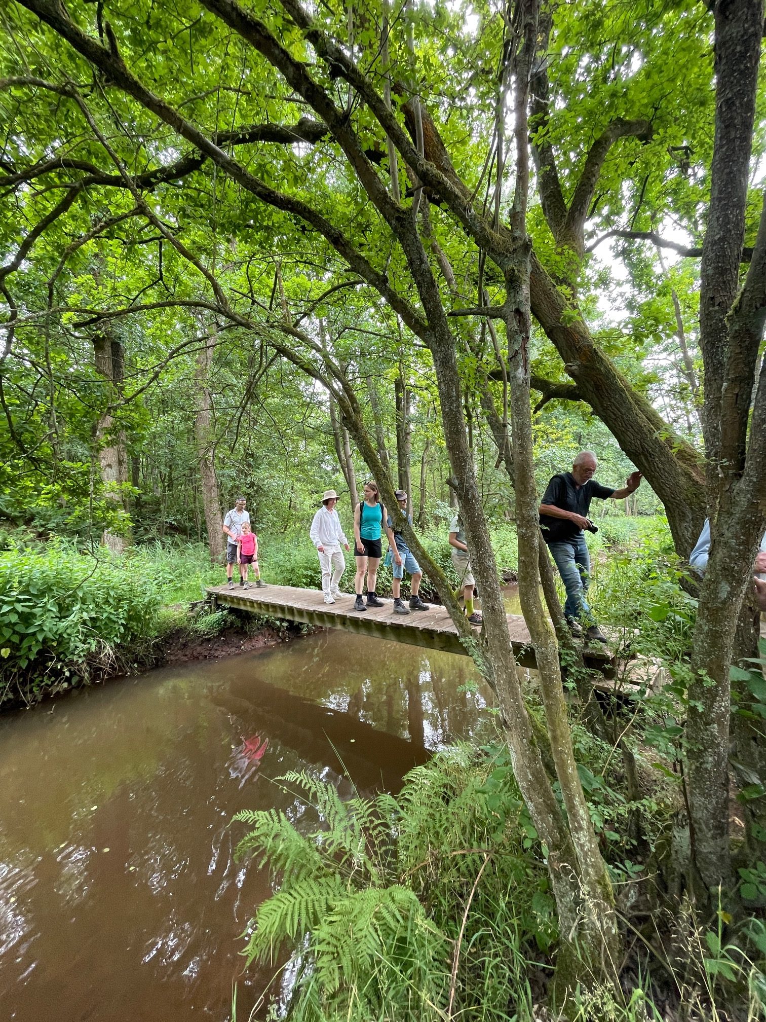 wandeling Abeek in Grote-Brogel 3